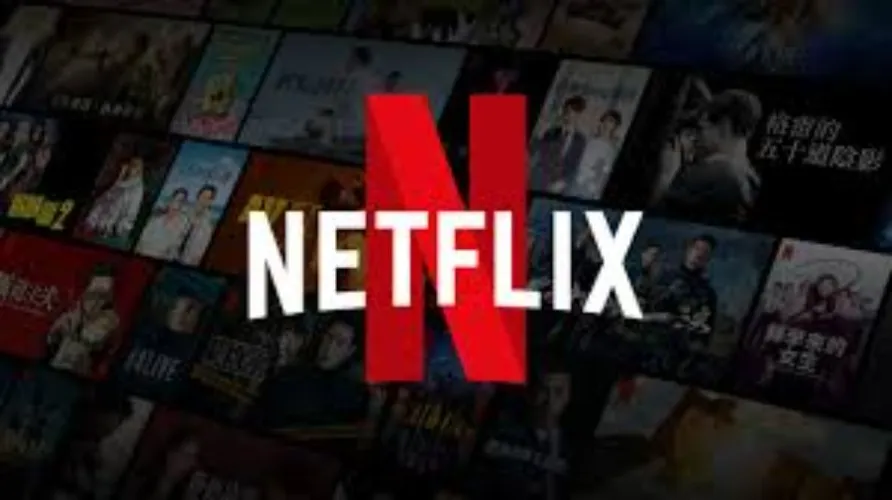 Netflix Subscription (1 month)