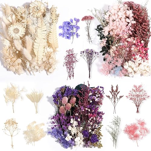 Comkrivy Real Dried Flowers 100% Natural Dried Flowers, Mixed Colors Dried Pressed Leaf Flowers for DIY Arts and Crafts Candles Resin Jewellery Nail Pendant Cards Scrapbooking Wedding Home Decoration - Violet