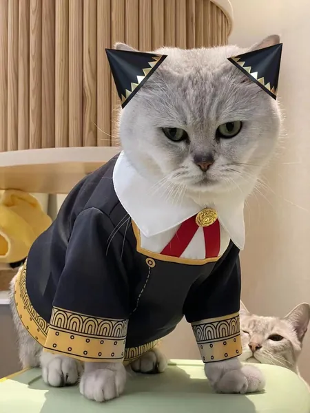 Anya Dog Cat Costume Halloween Pullover | Spy Girl Dog Cat School Outfit | Manga Dog Cat Cosplay Halloween