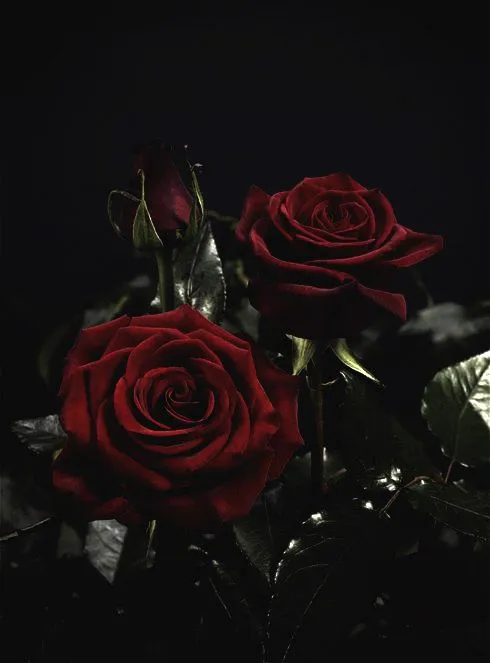 $77 Flowers 
