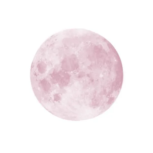 ᰔ・︴ daily monster ｡°✧