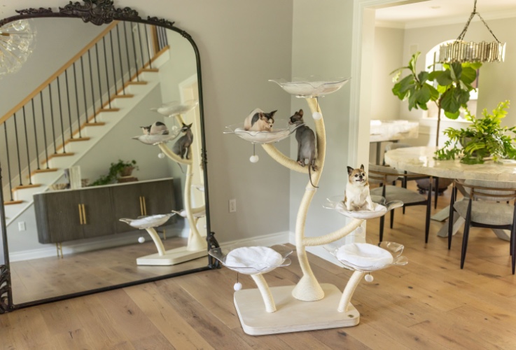 ORIGAMI FLOWERS: BLOSSOM CLEAR | Default Title