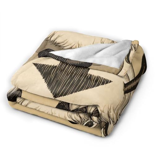 Ultra Soft Throw Blanket Flannel Fleece All Season Light Weight Living Room/Bedroom Warm Blanket - Avatar the Last Airbender Appa - 50"x40"