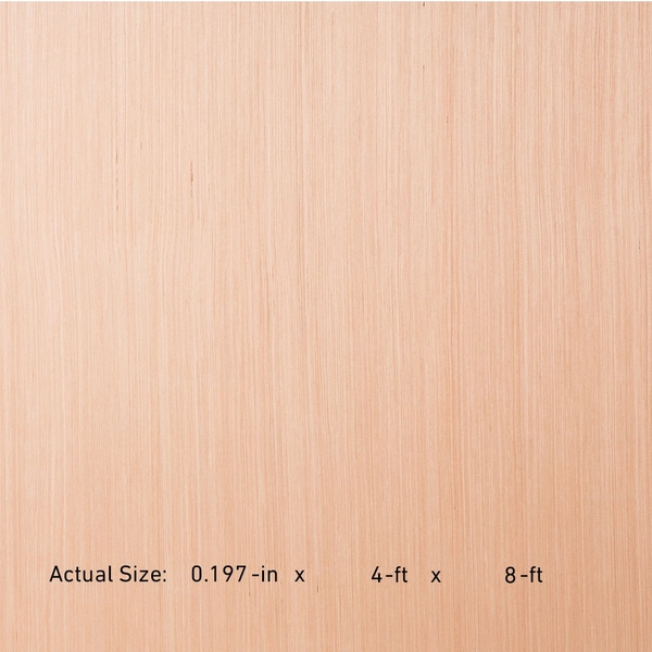 RevolutionPly 5Mm x 4-ft x 8-ft Poplar Sanded Plywood