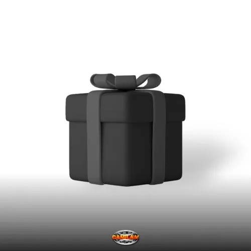 Special Bad Girl Gift for Camila V.