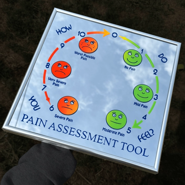 Wall Art | Pain Scale Mirror - Art Design by Claire Monroe | ODDITIES PRINTS