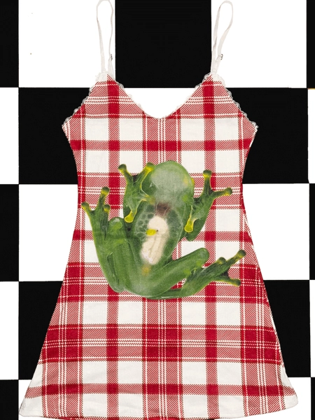SWEET LORD O'MIGHTY! FROG POINTELLE DRESS IN PLAID
