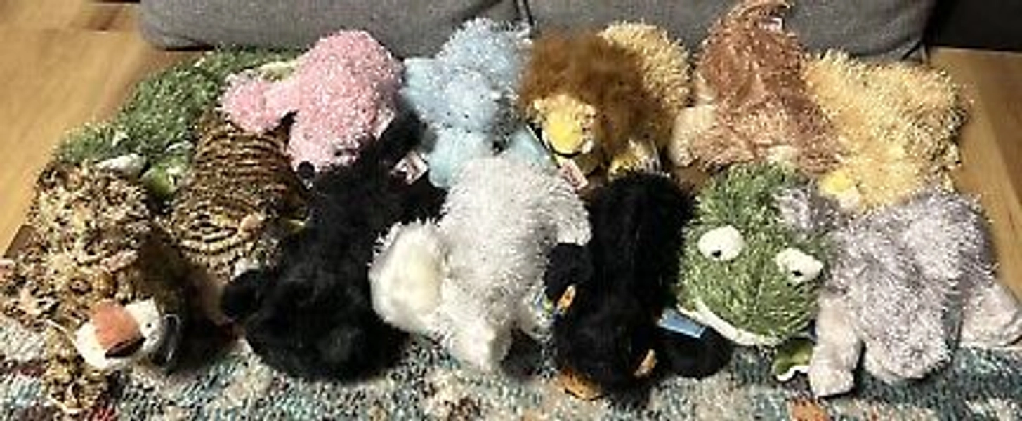 webkinz with code unused lot 13 Nwt Tiger, Lions Bear Poodles, No Dubs New  | eBay