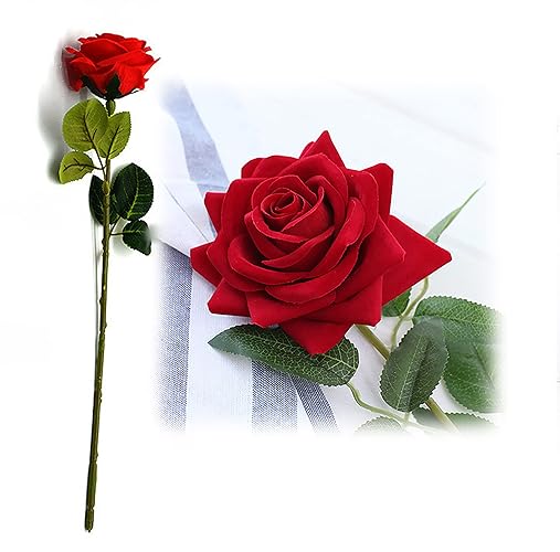 Gift Red Rose