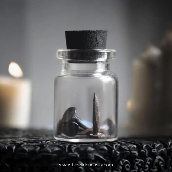Miniature Victorian Coffin Nails in Glass Curio Jar | Memento Mori | Dark Academia | Vintage Craft Supplies | Oddities & Curiosities | Gifts