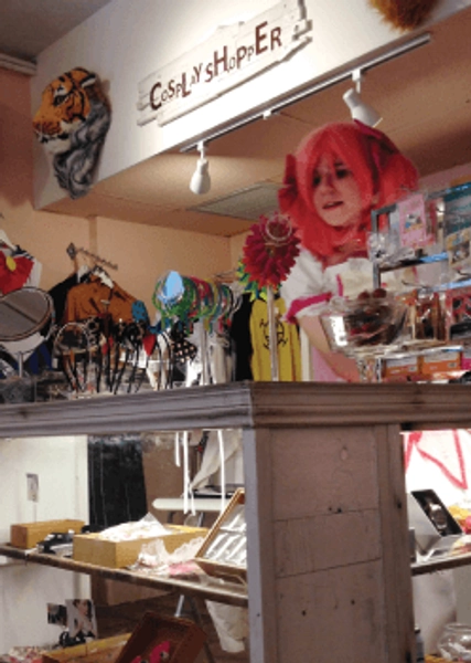 Digimon Adventure Gatomon Cosplay Costume for Sale