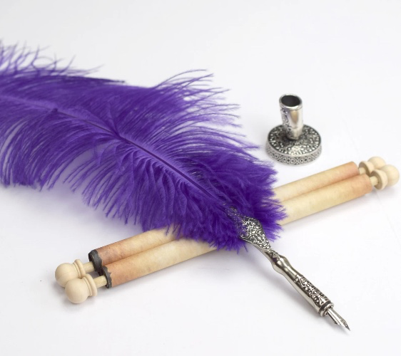 Ostrich feather quill dip pen
