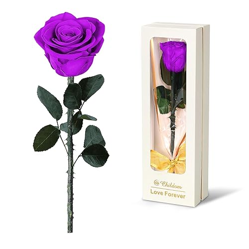 Birthday Gifts for Women,Christmas Rose Gifts for Women,Preserved Purple Rose Flower Gifts for Her,Romantic Gifts for Christmas,Forever Fresh Flower Rose Gifts for Her Mom Wife Grandma - Preserved Purple Rose