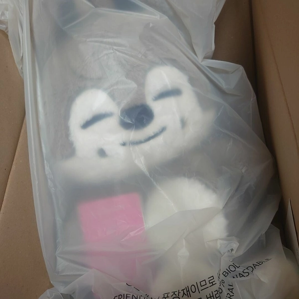 Stray Kids SKZOO WolfChan Official Plush Teddy Bear Ver. 5’clock 60cm W/Passport