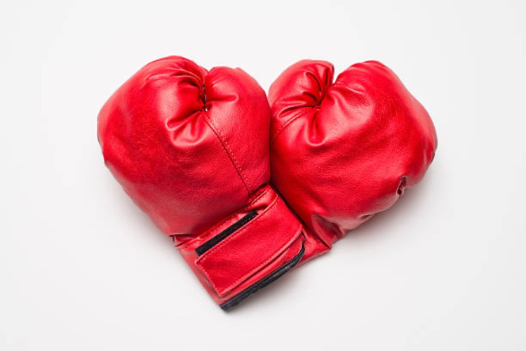 Private Boxing lesson