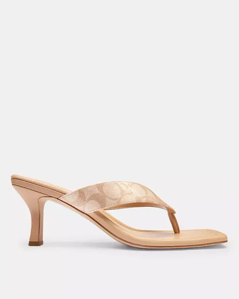 Beechwood Kitten Heel In Signature Canvas