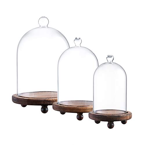 KMwares 3pcs Glass Bell Shape Dome(5.7"/4.9"/4.3") | Cloche Display Various Decor and Accessories with Wood Base