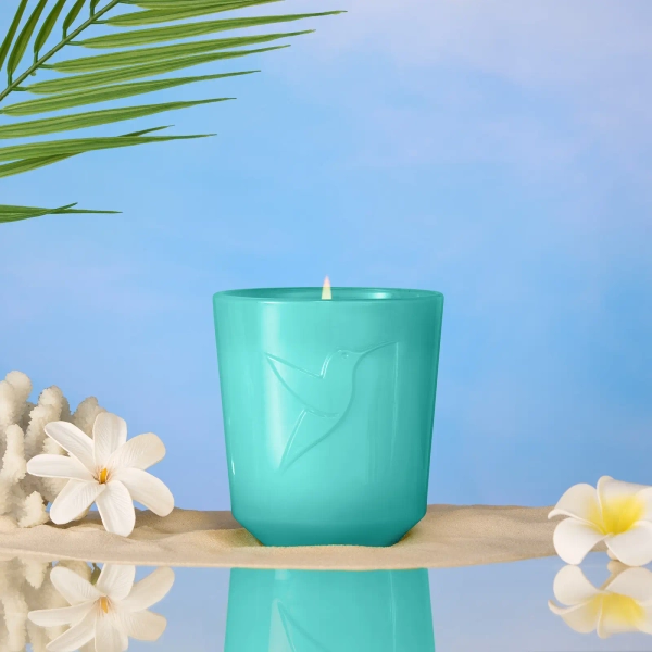 Monoi des Iles Bougie parfumée