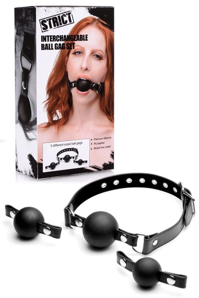 Interchangeable Ball Gag Set
