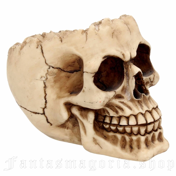 Lobo Skull Dish Figurine by Nemesis Now brand