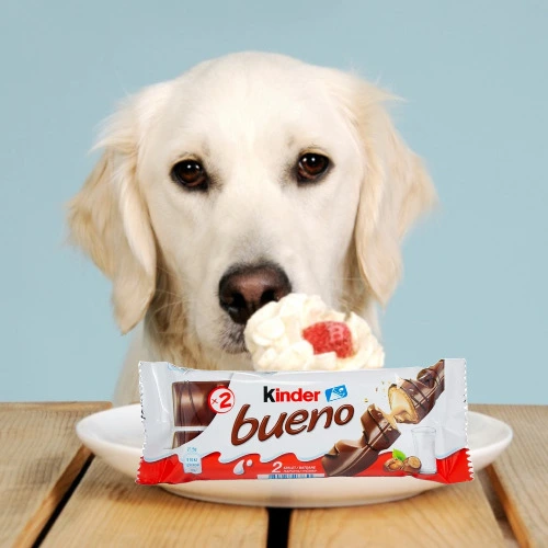 Bueno Chocolate Bar (Donation)