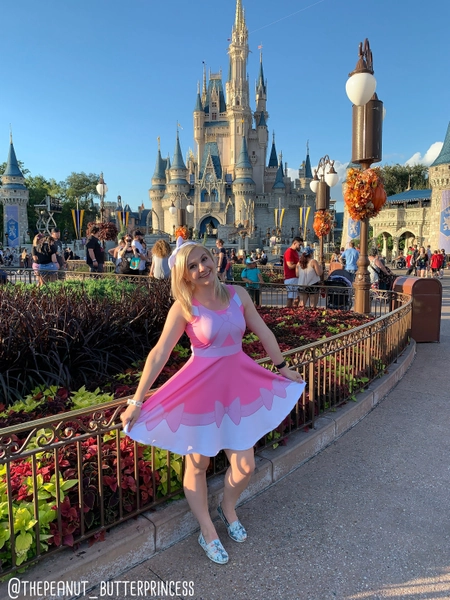 Pink Cinderella Dress