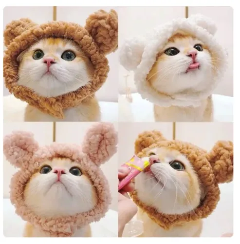 2 cat bear hats