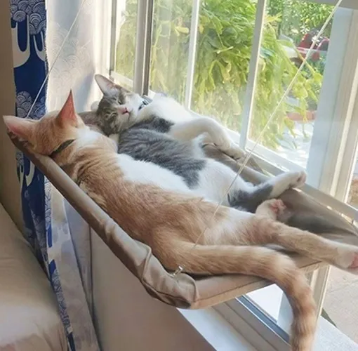 Cat hammock for Luna