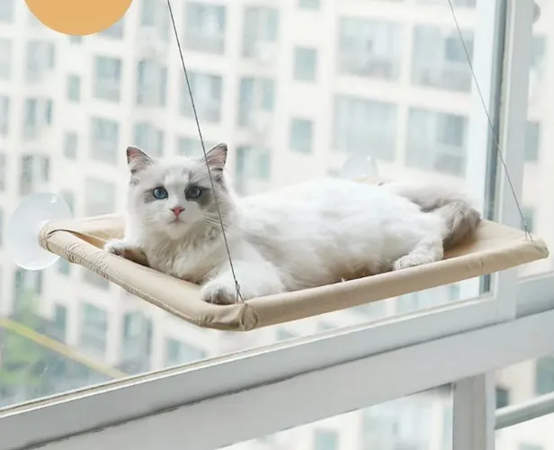 Cat hammock