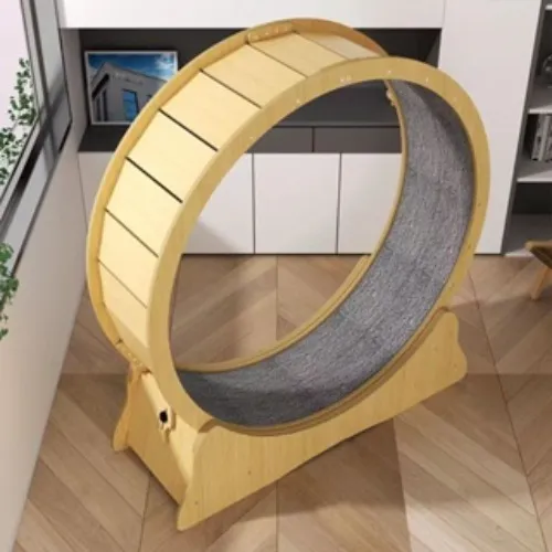 Cat Treadmil Wheel