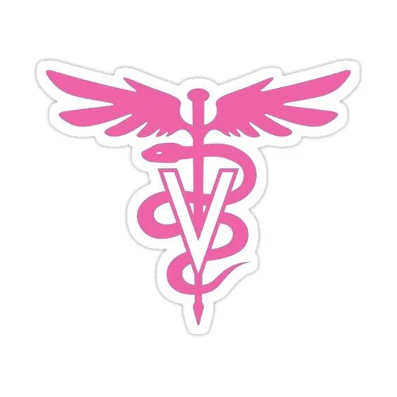 *•.¸♡ 𝑽𝒆𝒕 𝑽𝒊𝒔𝒊𝒕 ♡¸.•*