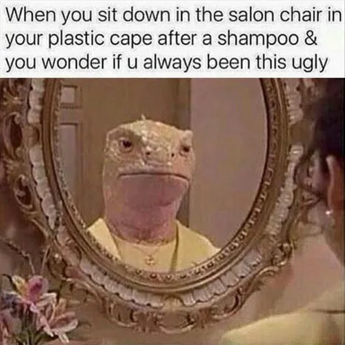 Hair Appointment 👩‍🦳