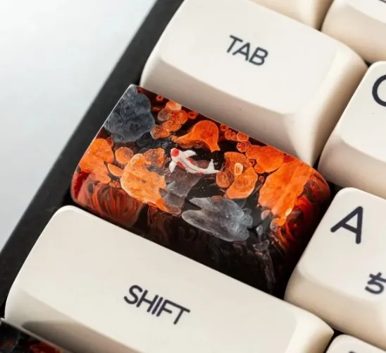 BLACK AND ORANGE KOI