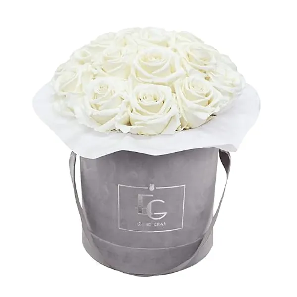 Splendid Infinity ROSEBOX | Velvet Gray - Infinity Rosen mit langjähriger Haltbarkeit, Premiumrosen arrangiert in Einer Samtbox, Haltbare Rosen (M, Pure White)
