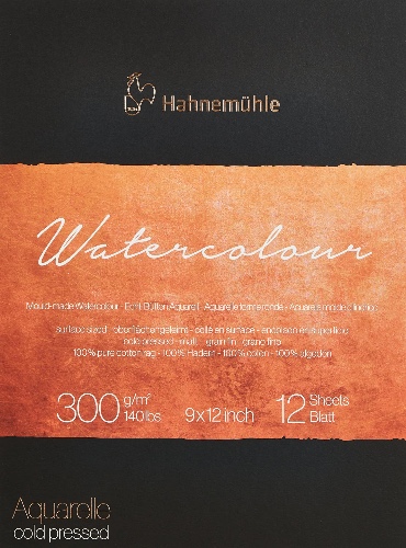 Hahnemuhle Collection Watercolor 300 Pad Cold Pressed 9x12 Inches 300gsm, White, 9-x-12-Inch