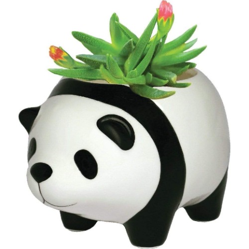 Panda Bear - Plant Pot