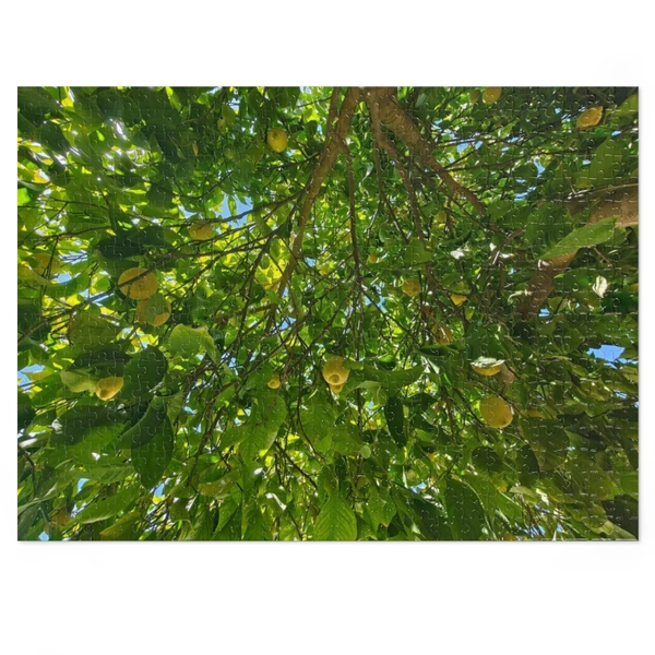 Lemons adult Jigsaw Puzzle (500,1000-Piece)