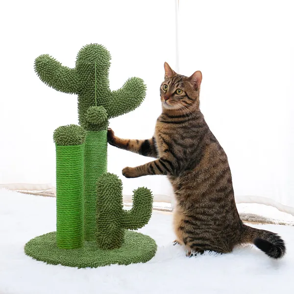 Cat Scratching Post Cactus Cat Scratcher Featuring with 3 Scratching Poles and Interactive Dangling Ball XH - M