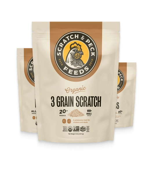 Warm Weather Snack Pack