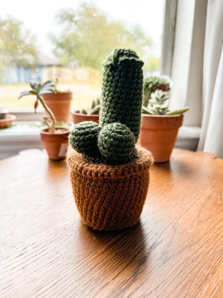 Crochet Cocktus Succulent Plant Cactus - Etsy