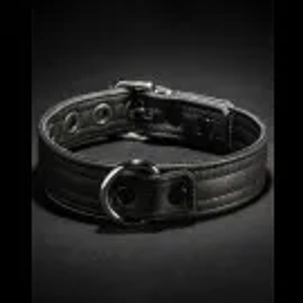 Puppy Collar - 2 Colors