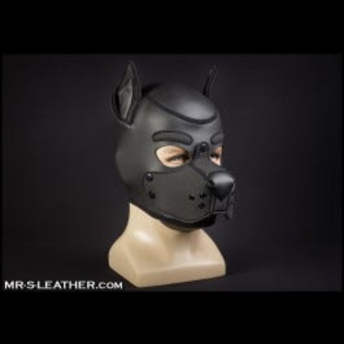 Neoprene K9 Hood - Black