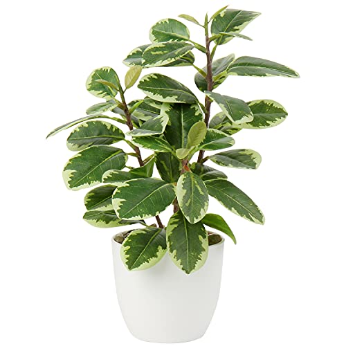 Fake Plant in Pot