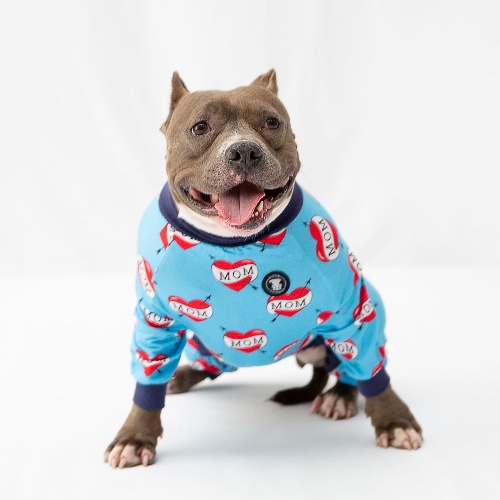 Blue "MOM" Heart Tattoo Pit bull Pajamas | XL