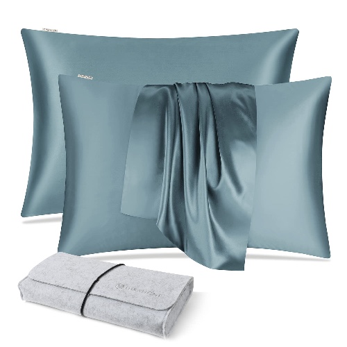 DISANGNI 100% Natural Mulberry Silk Pillow case for Hair and Skin with Hidden Zipper 22 Momme Both Sides Real Silk Pillow Case (2pc Standard Size 20" x26", Blue Gray) - 2pc Standard Size 20" x26" - Blue Gray