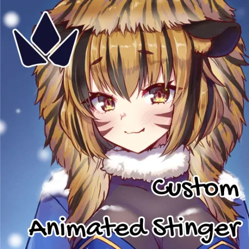 Custom Animated Stinger