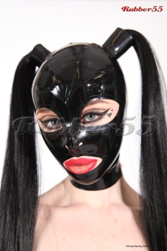 55 Series Pigtail Hood