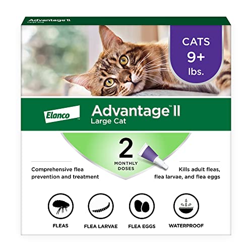 Advantage II Large Cat Vet-Recommended Flea Treatment & Prevention | Cats Over 9 lbs. | 2-Month Supply - 2 Pack - Large Cat only