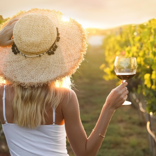 Viinimatka Eurooppaan