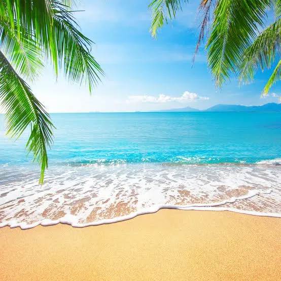 Weekend Beach Escape 🛫